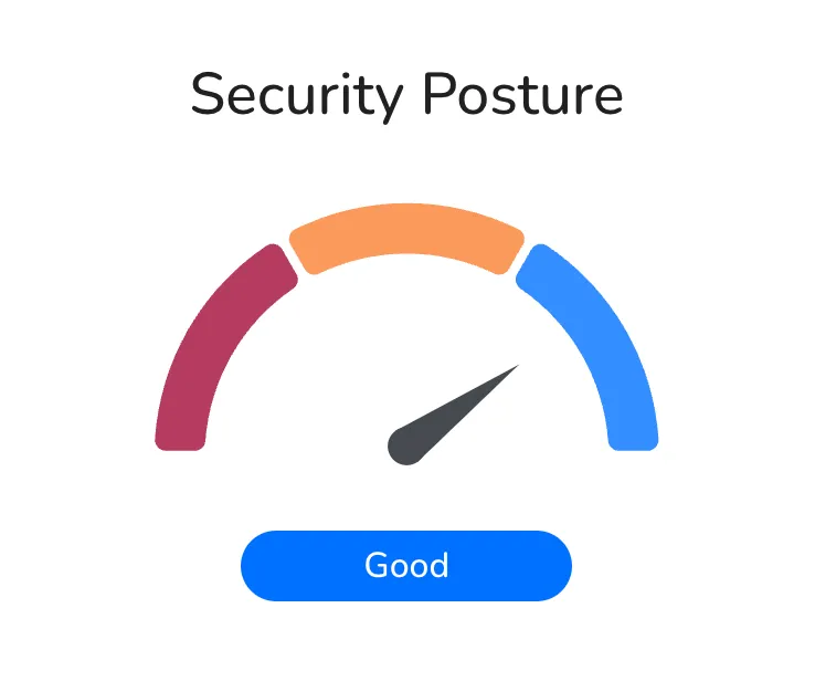 Apollo Secure good security posture view